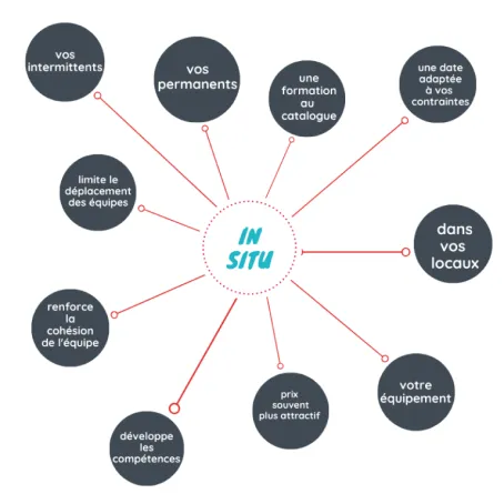 staff visuel in situ solutions